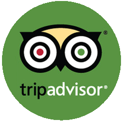 logo tripadvisor